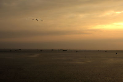 Birds flying over sea against sky during sunset