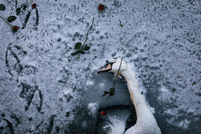 High angle view of frozen lake during winter