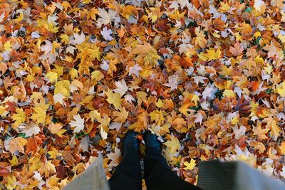 Low section of woman standing on autumn leaves