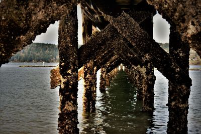 Reflection of pier in the sea