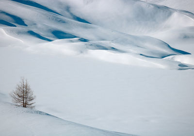 Scenic view of snow covered field