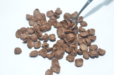 High angle view of cupcakes against white background