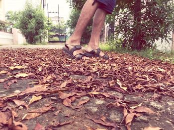 Low section of person on leaves during autumn