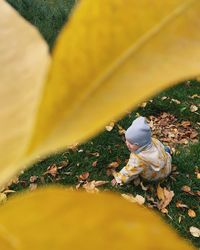 Portrait of a girl through a close-up of an autumn leaf