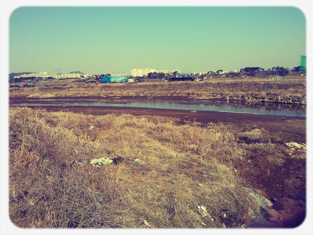 SCENIC VIEW OF FARM AGAINST CLEAR SKY