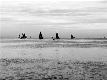 Sailboats sailing in sea against sky