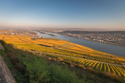 Panoramic view to rheingau, bingen and rheinhessen with coloring vineyard in autumn against blue sky