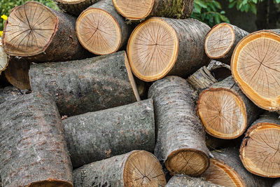 large group of objects