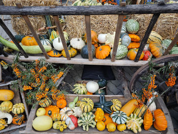 High angle view of pumpkins for sale at market stall