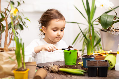 Portrait of boy playing with potted plant at home