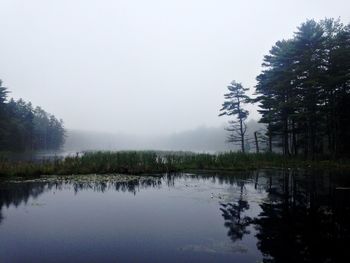 Reflection of trees in calm lake