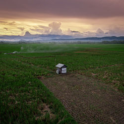 Scenic view of field against sky during sunset