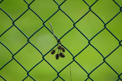 Full frame shot of chainlink fence