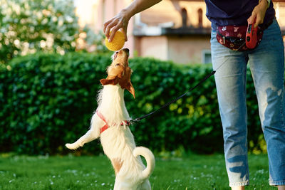 Woman playing with dog in the park