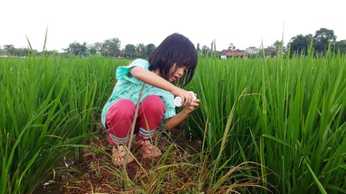 Full length of girl crouching amidst grass
