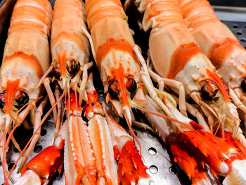 High angle view of fish for sale