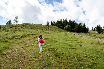 Full length rear view of man standing on land against sky