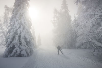 Silhouette of a skier on a cross-country ski trail in winter in chamrousse in the belledonne massif