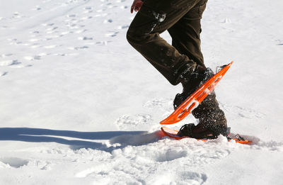 Low section of person skateboarding on snow