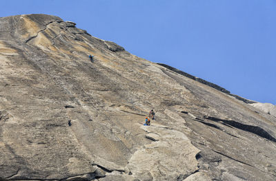 Low angle view of rock climbers at yosemite national park