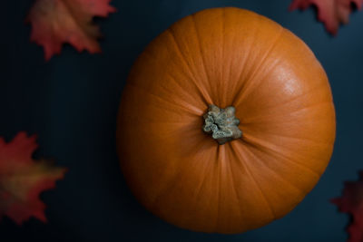 Close-up of pumpkin against orange background