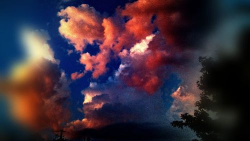 Low angle view of trees against sky