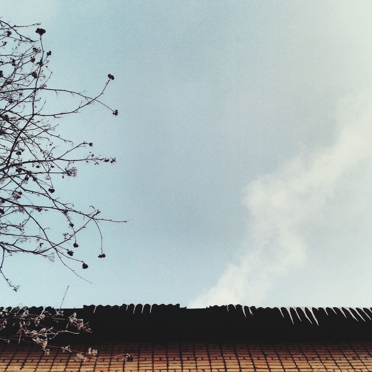 built structure, sky, building exterior, architecture, low angle view, bare tree, tree, roof, fence, cloud - sky, outdoors, clear sky, house, bird, day, cloud, no people, nature, high section, railing