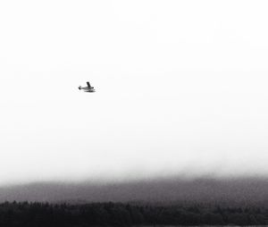 Low angle view of airplane flying in sky