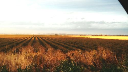 Scenic view of field against cloudy sky