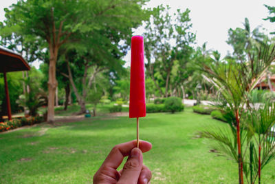 Close-up of hand holding red plant against trees