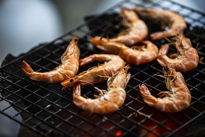 Grilled shrimp on a grill