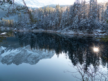 Reflection of trees in lake against sky during winter