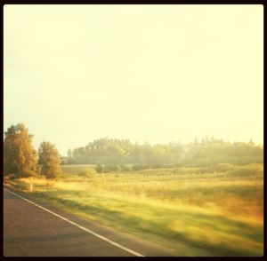 Road passing through field