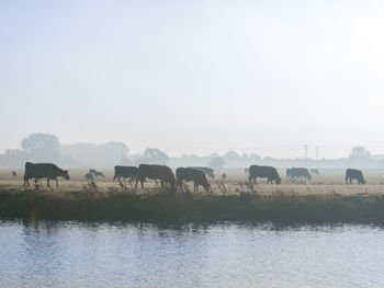 Scenic view of river against sky