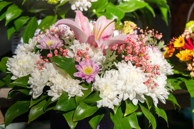 Close-up of white flowers