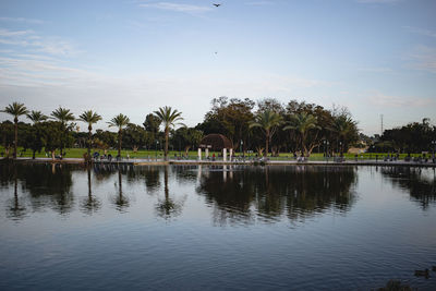 Scenic view of palm trees by lake against sky