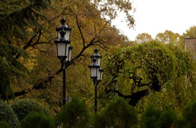 Street light against trees in park