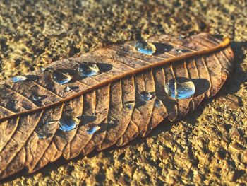 High angle view of rusty metal on beach