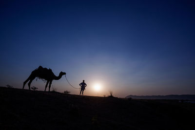 Silhouette man standing by camel at desert during sunset