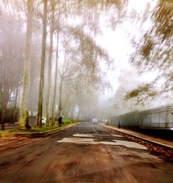 Road passing through forest