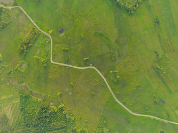 Aerial view of road amidst agricultural field