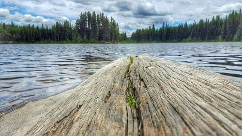 Scenic view of lake in forest against cloudy sky
