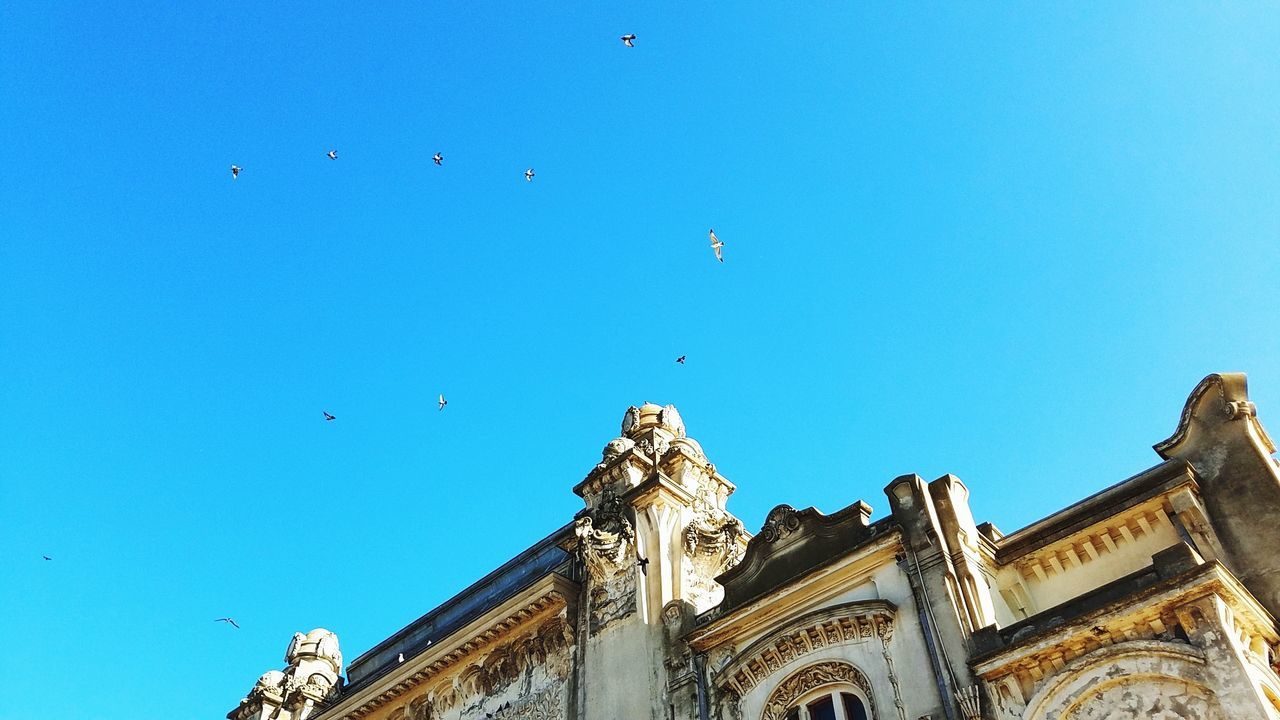 sky, low angle view, building exterior, blue, architecture, built structure, flying, clear sky, day, nature, the past, history, bird, belief, vertebrate, animal themes, no people, copy space, travel destinations, animal, outdoors