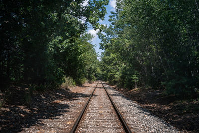 Railroad tracks amidst trees in forest