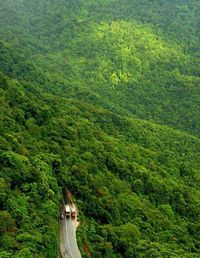 Scenic view of green landscape