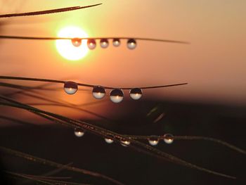 Close-up of wet airplane against sky during sunset