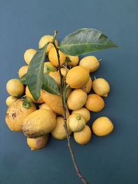 Close-up of lemons