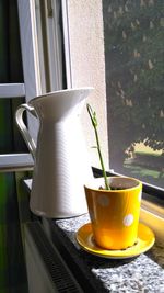 Close-up of pitcher on window sill