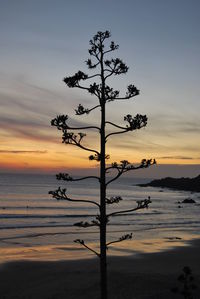 Scenic view of sea at sunset