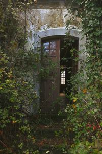 Built structure by trees and plants